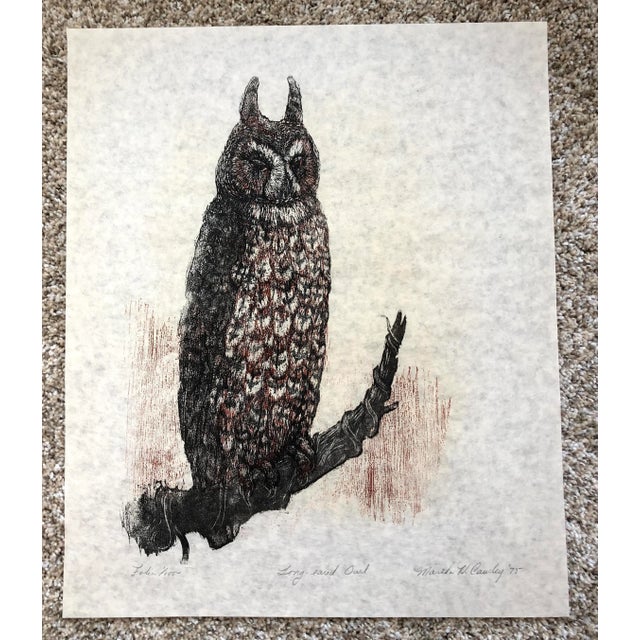 Paper 1975 Martha Cawley Woodblock Print, Long-Eared Owl, #1/100 For Sale - Image 7 of 7