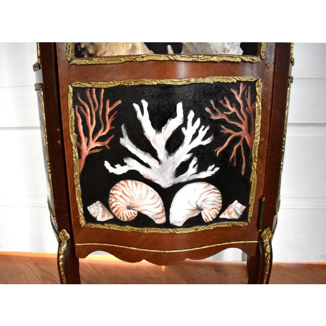 Kunstkabinett of Shells by Susannah Carson For Sale In San Francisco - Image 6 of 13