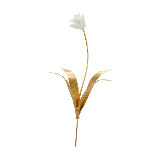 Small Tulip Stem For Sale