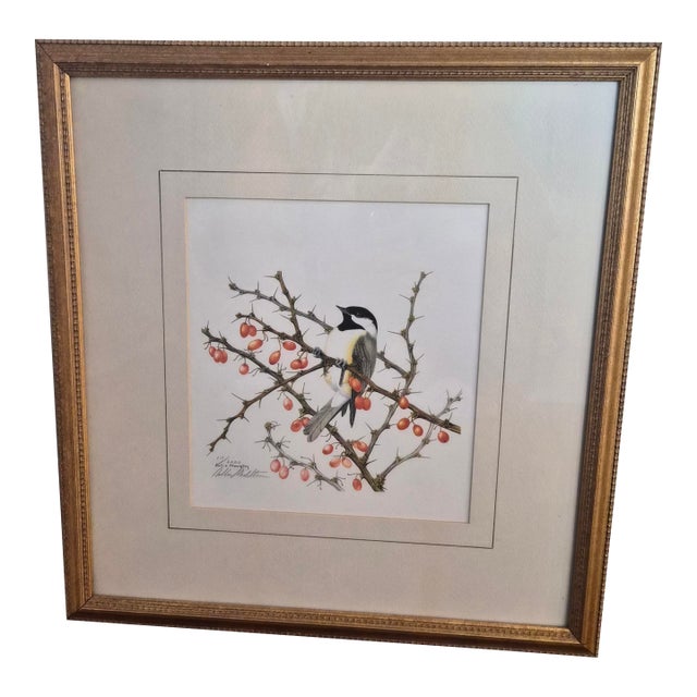 Sallie Middleton “December” Carolina Chickadee Limited Edition Lithograph For Sale