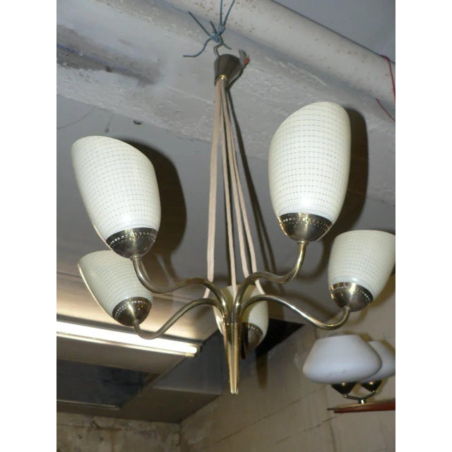 - Brass and opaline glass ceiling lamp - Lights are made in a tulip design - Made in the 1950s European Plug (up to...