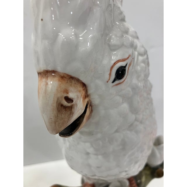 This pair of hand painted cockatoos Was made in Italy in the 60’s At 16 inches high great scale Impressive painting detail...