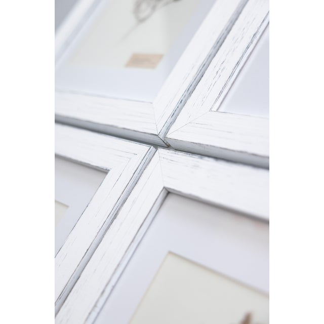 Custom Framed Antique Swedish Botanical Herbariums, 1912 - Set of 4 For Sale - Image 12 of 13