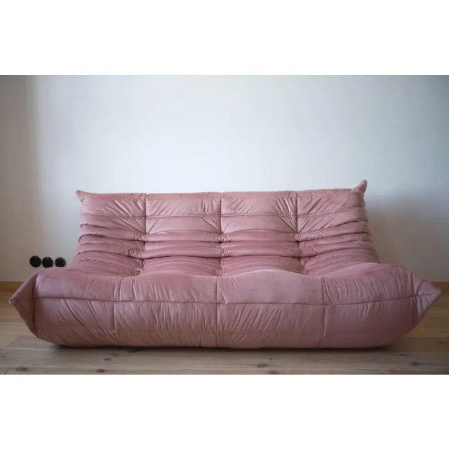 Textile Set of Pink Pearl Velvet Togo 2- and 3-Seat Sofa by Michel Ducaroy for Ligne Roset For Sale - Image 7 of 14