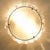 Custom Corona Ceiling Light (it can also be used as wall light) Rated for Dry and Damp Locations Polished Nickel Plated Brass