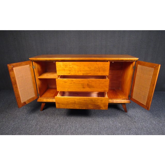 Mid 20th Century Mid 20th Century Mid-Century Modern Cane Door Server For Sale - Image 5 of 8