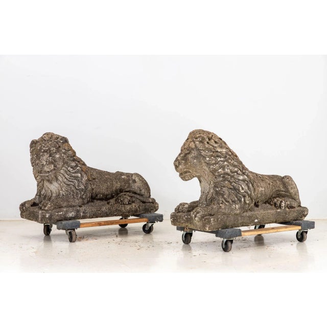 Neoclassical Circa 1920 English Pair of Large Recumbent Concrete Lions For Sale - Image 3 of 12