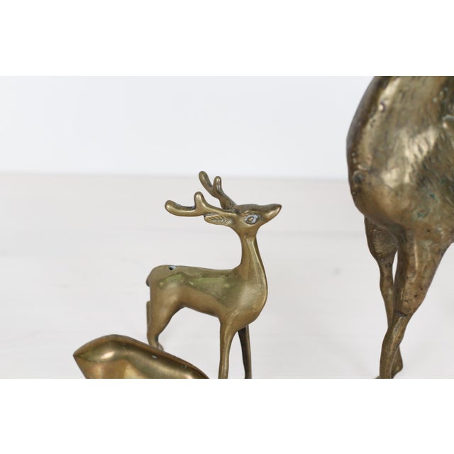 Brass Mid-Century Brass Deer Family, Set of 4 | Large Stag and Fawns For Sale - Image 8 of 15