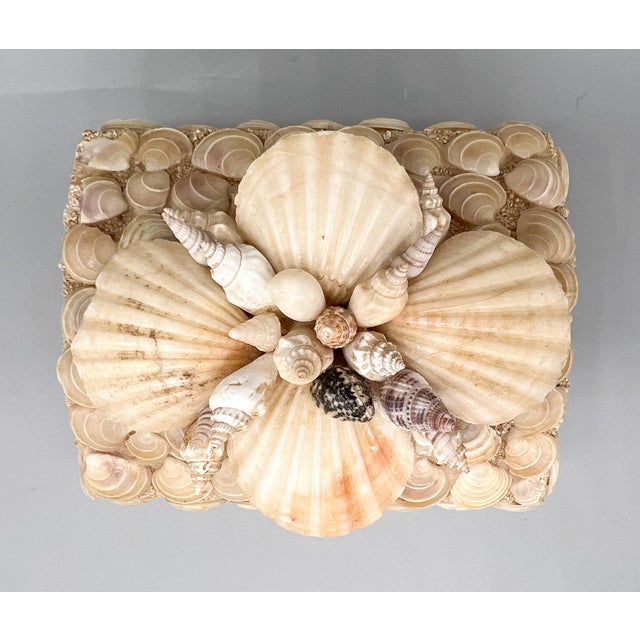 Contemporary Vintage Handmade Seashell Encrusted Lidded Box – Coastal / Organic Modern For Sale - Image 3 of 14