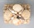 Contemporary Vintage Handmade Seashell Encrusted Lidded Box – Coastal / Organic Modern For Sale - Image 3 of 14