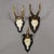 1960s Set of Six Roe Deer Trophies on Turned Plaques Germany Ca. 1960s For Sale - Image 5 of 7