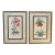 Large Pair of Botanical Framed Prints Flowers Floral Bombay Company For Sale