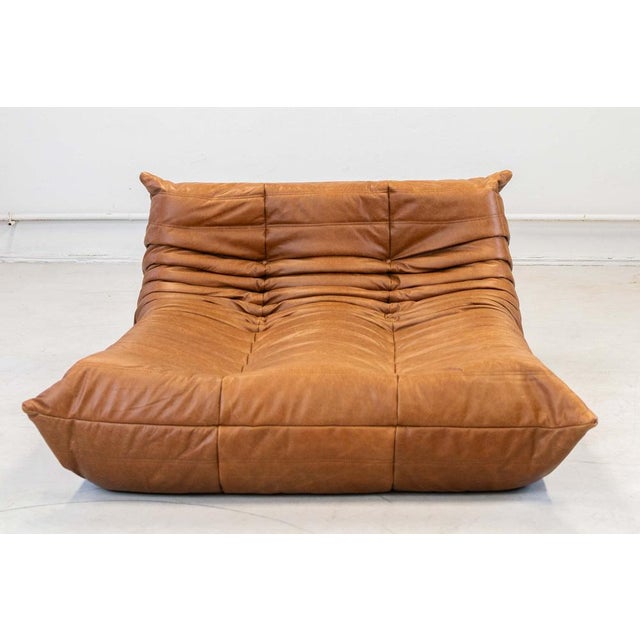 Togo Chaise Lounge in Pine Leather by Michel Ducaroy for Ligne Roset, 1974 For Sale - Image 3 of 18