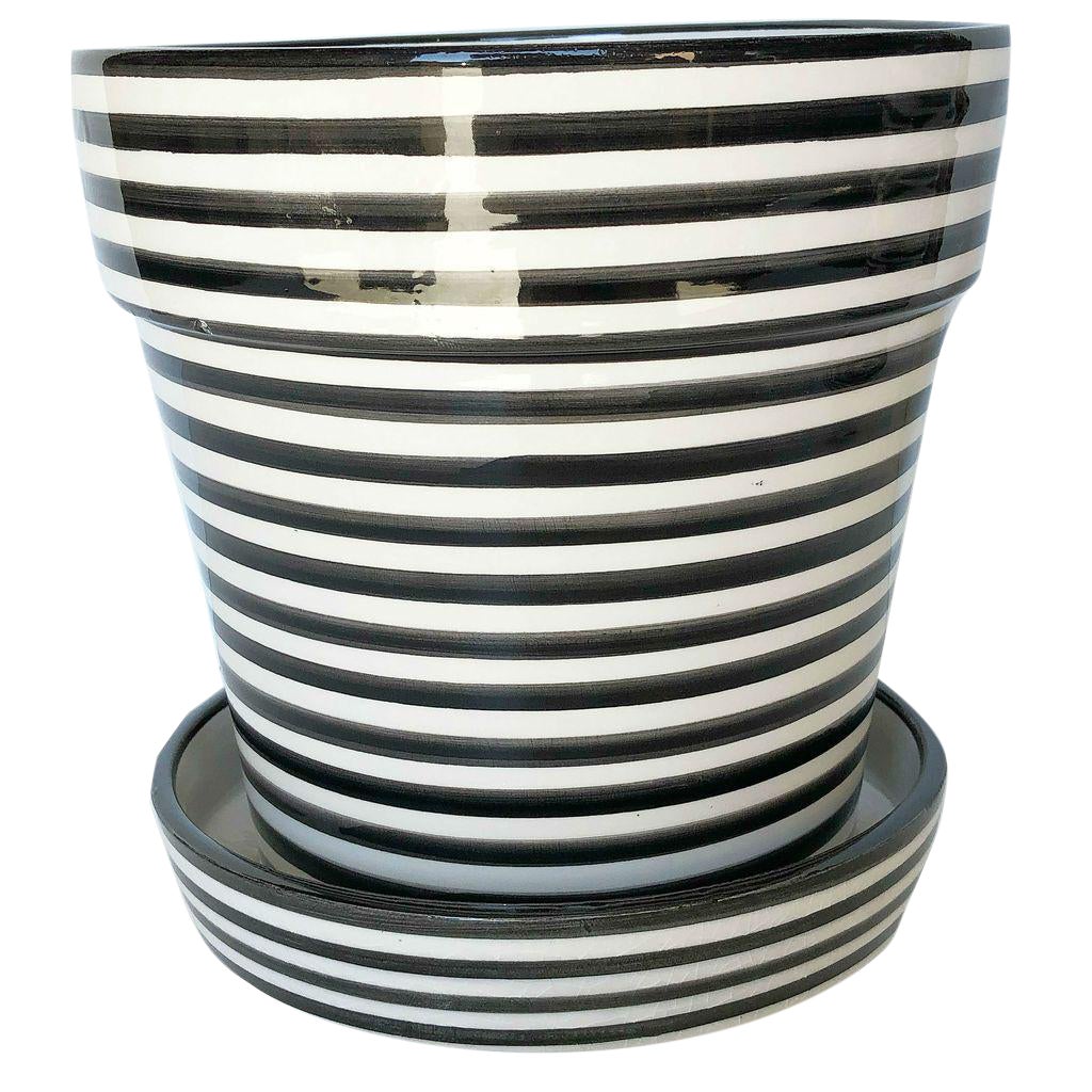 Modern Large Black White Bullseye Ceramic Planter Chairish