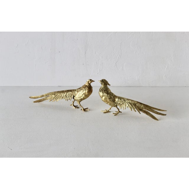 A fabulous pair of sculptural pheasants, beautifully cast with remarkable attention to feather texture and natural...