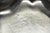 Early 20th Century Webster Wilcox 3236c International Silver Plated Scalloped Centerpiece Bowl For Sale - Image 12 of 18