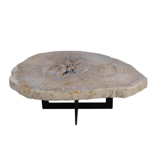 Not Yet Made - Made To Order Petrified Wood Coffee Table by Xyleia Petrified Wood For Sale - Image 5 of 5