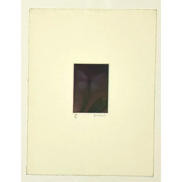 Composition is a Contemporary artwork realized by Laurent Schkolnyk (Paris, 1953). Original Etching on paper. Passepartout...