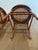 Pair of Late Victorian Early Edwardian Cane Seat Chairs With Carved Tulip Motif For Sale - Image 15 of 17