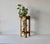 Vintage Scorched "Tortoise Shell" Style Bamboo Wicker Plant Stand Mid-Century For Sale - Image 13 of 13