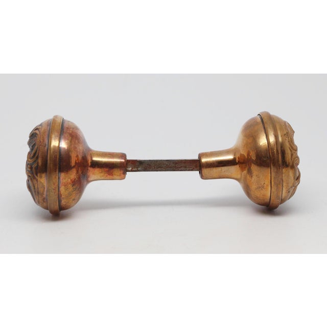 Art Nouveau Polished Brass Sargent Alby Door Knobs For Sale - Image 3 of 4