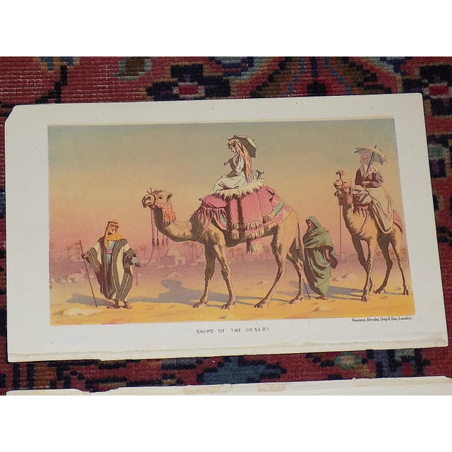Authentic Antique 19th Century Lithographic Views of British Colonial Middle East - Set of 6 For Sale - Image 4 of 8