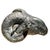 Vintage Patinated Plaster Rams Head Sculpture in the Neoclassical Taste For Sale - Image 11 of 11
