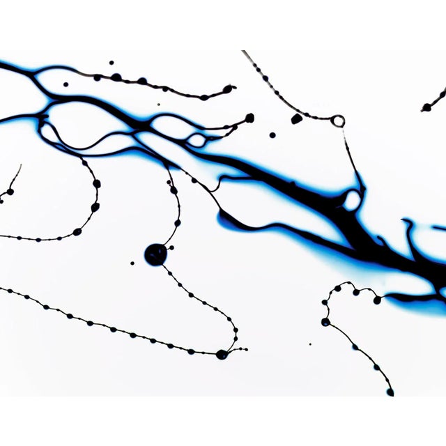 Michael Banks, Fluidity 1, 2013, Photograph For Sale - Image 3 of 4