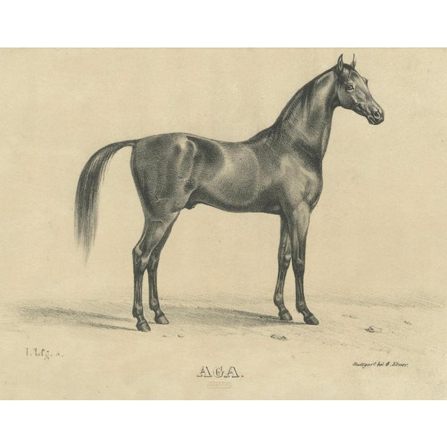 August Jäger, Aga, 1846, Paper Lithograph For Sale - Image 3 of 9
