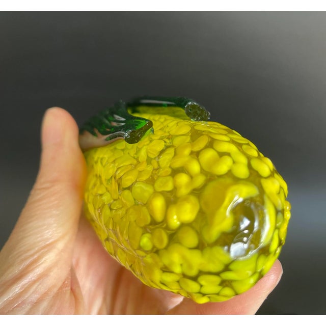 Set of 11 Blown Glass Fruits and Vegetables For Sale - Image 12 of 12