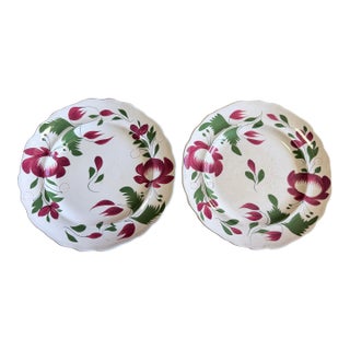 A Very Nice Pair of Antique Staffordshire Early Adam’s Rose Plates, Circa 1830 For Sale