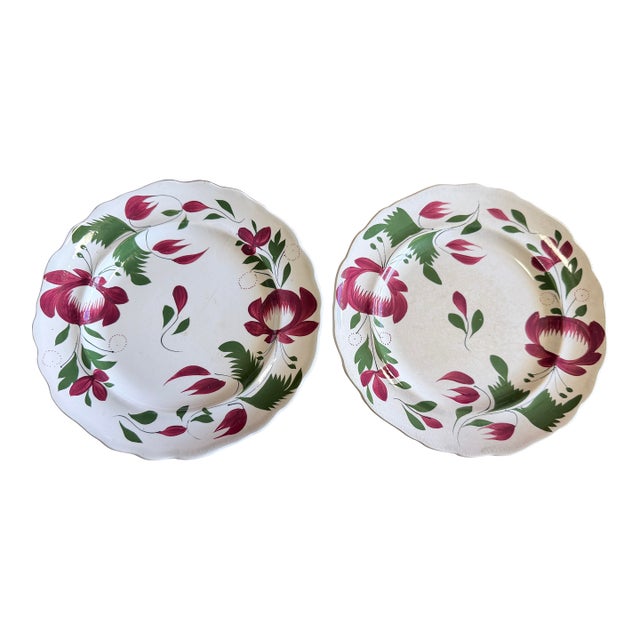 A Very Nice Pair of Antique Staffordshire Early Adam’s Rose Plates, Circa 1830 For Sale