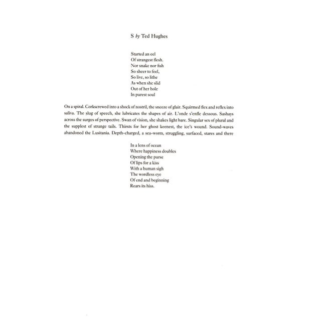 Contemporary 1990s 'S' From 'Hockney's Alphabet' by David Hockney For Sale - Image 3 of 3