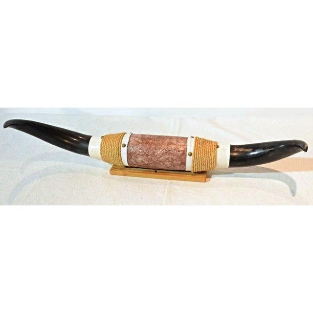 Mounted Steer Horns Chairish