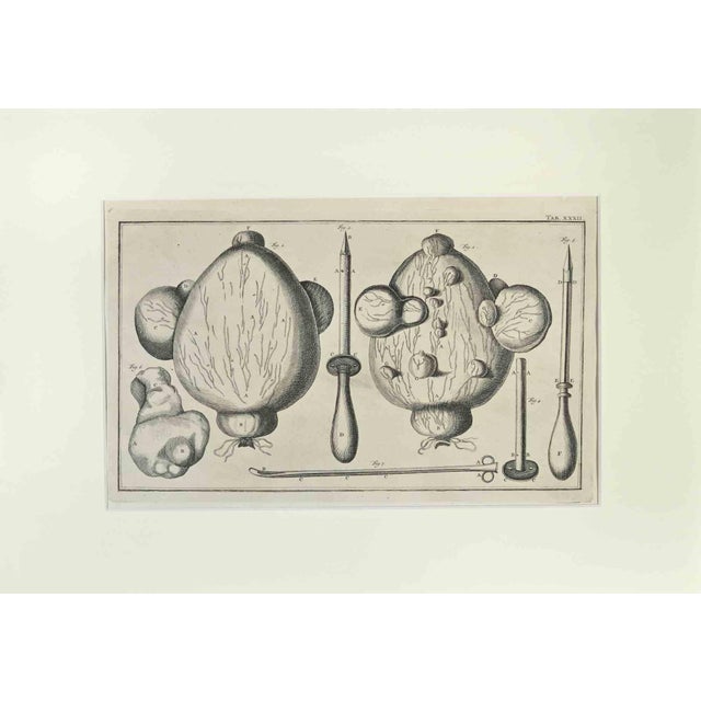 Lorenz Heister, Surgical Instruments, Etching, 1750 For Sale - Image 3 of 3