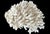 Late 20th Century Natural White Coral Reef Specimen #8 For Sale - Image 5 of 9