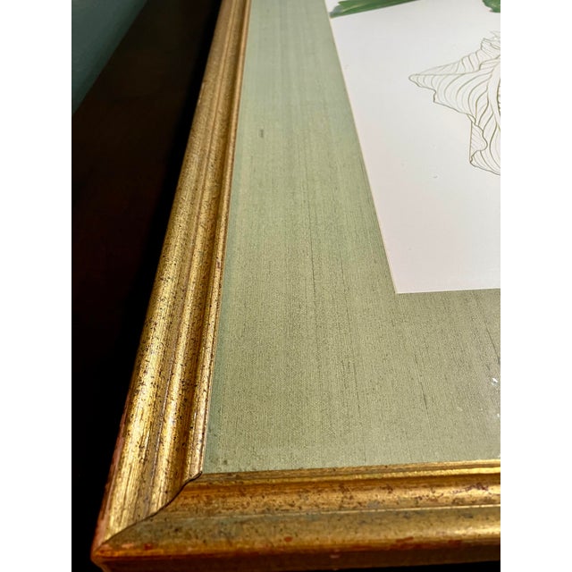 Vintage Thalia Lincoln Calla Lily Botanical Print - Framed 1973 Lithograph For Sale - Image 10 of 18