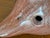 Mexican Folk Art Tonala Bird For Sale - Image 11 of 12