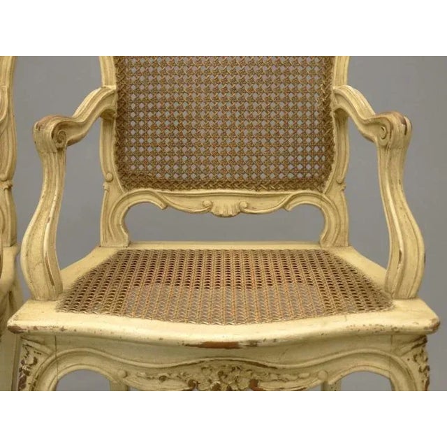 1920s Vintage Louis XV-Style French Caned Arm Chairs - Set of 4 For Sale In New York - Image 6 of 13