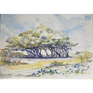 Mid 20th Century Original Watercolor Painting, Grove of Trees For Sale