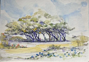 Mid 20th Century Original Watercolor Painting, Grove of Trees