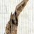 Coffee Late 20th Century Driftwood Sculpture on Steel Plinth For Sale - Image 8 of 13