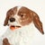 Early 20th Century Antique Dresden Porcelain King Charles Spaniel Sculpture or Figurine For Sale - Image 5 of 18