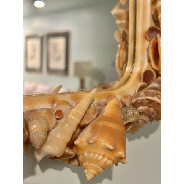 1960s Vintage Seashell Encrusted Scalloped Wall Mirror Palm Beach Coastal Style For Sale - Image 5 of 9