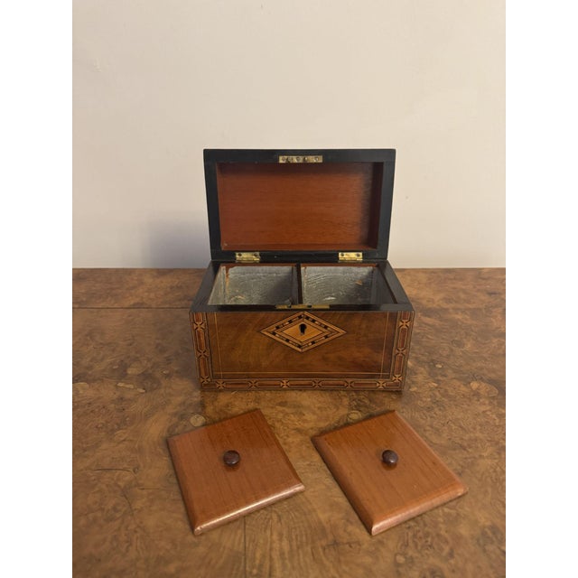 Wood Antique Walnut Tea Caddy with Tunbridge Inlay, 1880 For Sale - Image 7 of 9