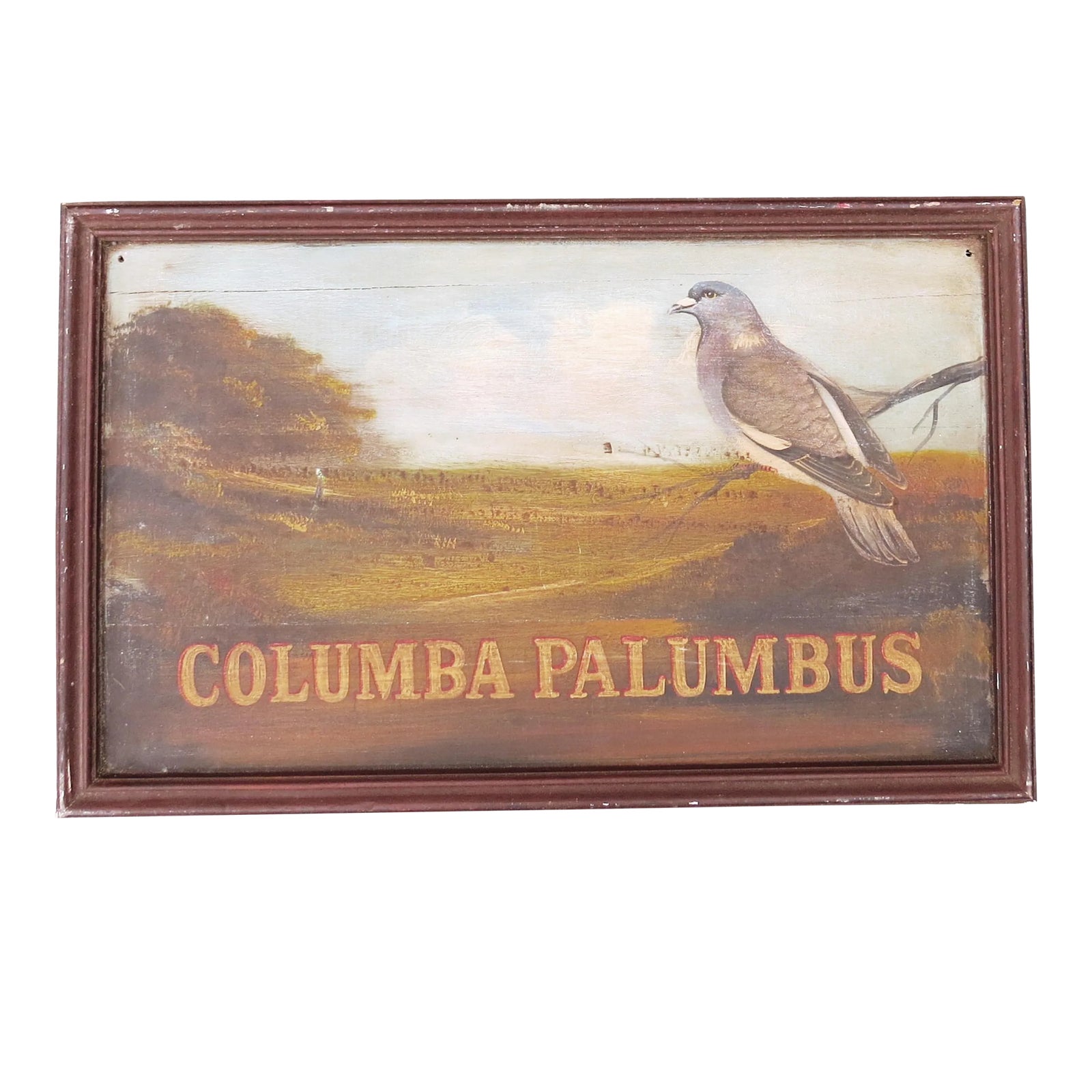 Antique Folk Art Naturalist Sign of a Columba Palumbus (Wood Pigeon) by ...