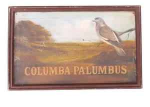 Antique Folk Art Naturalist Sign of a Columba Palumbus (Wood Pigeon) by the Meek Co