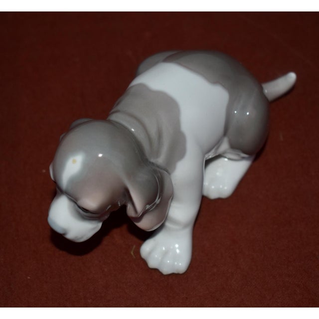 Vintage Lladro Porcelain Beagle Puppy Dog Figurine Grey White Glossy Spain Retir For Sale - Image 11 of 15
