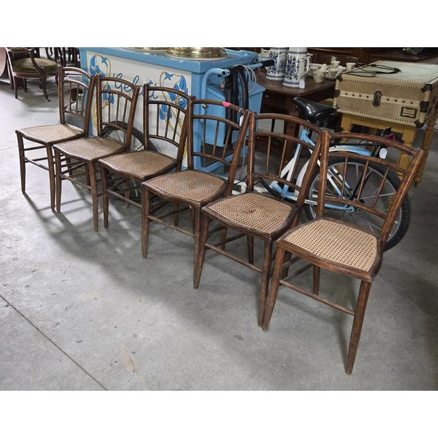19th Century Napoleon Bentwood Chairs, Set of 6 For Sale - Image 9 of 9