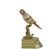 Bronze Ceramic Reggilibri Parrots from Royal Family, Set of 2 For Sale - Image 4 of 5